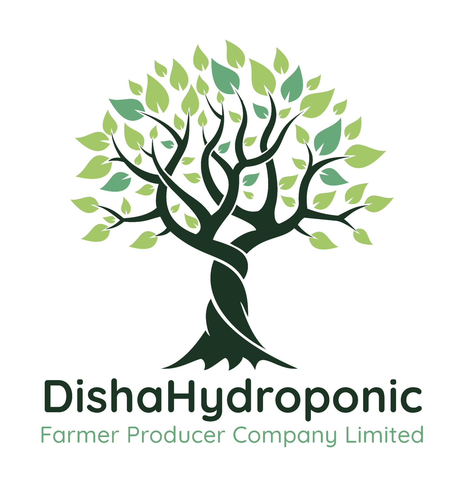 DishaHydroponic Farmer Producer Company